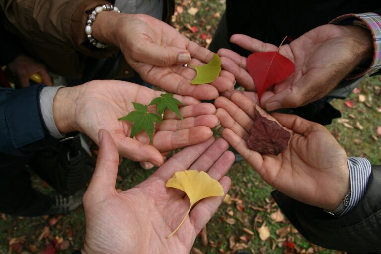 tolerance, diversity, views, interaction, together, tolerance, tolerance, tolerance, tolerance, tolerance, diversity, diversity, diversity